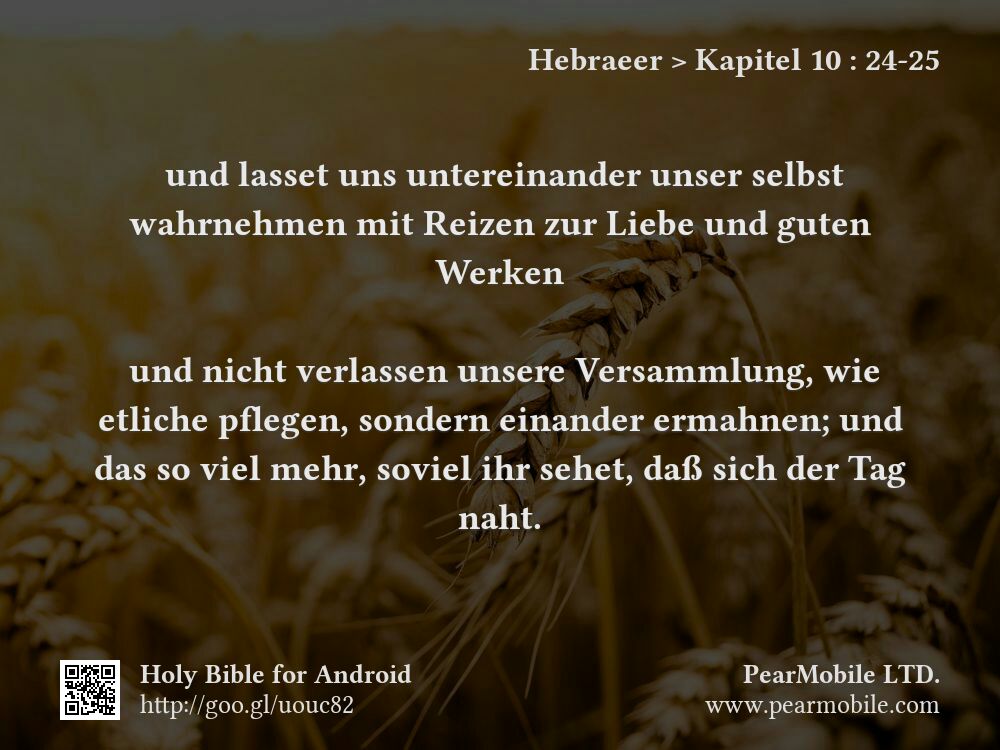 Hebraeer, Kapitel 10:24-25